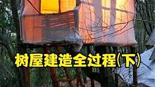 在丛林里建造一栋树屋（下）#野外建造#野外搭建#木屋建造#小木屋#树屋 