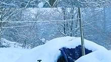 雪地露营，挖个雪洞庇护所过夜，外面飘着雪，用柴炉做一锅乱炖吃#雪屋#雪洞 #露营#雪#庇护所#野外建