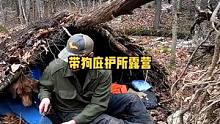 一人一狗冬季雪天森林建草皮苔藓屋顶庇护所露营野餐过夜。#户外 #野营 #野外 #露营⛺ #露营 #户