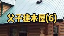 父子在加拿大荒野森林中建造他们的梦想小木屋（6）。#森林 #木屋 #野外 #木屋建造 #户外 