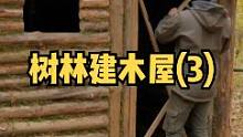 在森林里建造一座木屋房子（3），建两面木头墙和窗户。#森林 #木屋建造 #户外 #木屋 #野外 #野