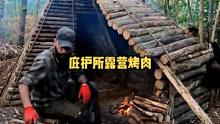 一人一狗户外树林庇护所露营烤肉，加固庇护所。#户外 #露营 #野外 #户外生活 #木屋 #木屋建造 