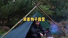雷雨天带着狗子树林天幕露营野餐过夜。#户外 #野外 #户外露营 #露营 #户外生活 #露营⛺ #野营