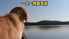 一人一狗划独木舟一起户外露营旅行野餐。#户外 #野营 #户外露营 #露营 #野外 #户外生活 #户外