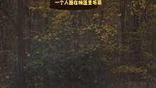 下雨天，一个人睡在帐篷里听雨#听雨 #雨天听雨 #下雨了 #露营 #帐篷 #雨声催眠