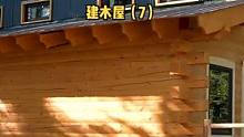 阿拉斯加户外树林建一座木屋（7）。#营地 #木屋建造 #木屋 #户外生活 #户外 