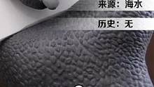 （3/3）大神用「海水+贝壳」纯手工制作一把纯白厨刀，感觉上了一堂化学课，但是完全学不会！