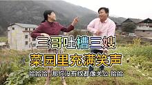 三嫂臭美去纹眉，三哥调侃她像关公，夫妻俩菜园种菜乐趣多