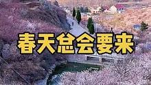 春天总会要来（关注我，带你看遍青岛的野山野水）#又到了迎接春天的日子 #北方春日大赏