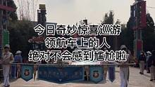今天奇妙惊喜巡游领航车上的人绝对不会感到尴尬了#迪士尼#上海迪士尼#奇妙惊喜巡游#领航车#尴尬症#社