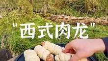 Menwiththepot的“西式肉龙”#露营报告 #户外 #露营 #户外美食 #露营美食 