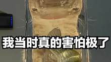 #搞笑 鱼：我当时真的害怕极了
