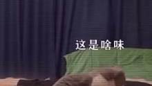 #搞笑 猫猫：有毒快跑！好怕怕～#萌宠 