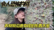 女司机房车自驾丙察察进藏，路上危机四伏处处充满着险境！