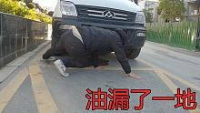 一大早发现车下有很多油，往后一看，别的车下面也有，油被偷了？