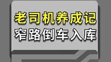 还在为窄路倒车入库发愁吗？试试这个吧！#倒车入库 #开车技巧 