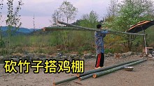 挖竹笋，砍竹子，搭竹鹏，把竹林的价值发挥到极致