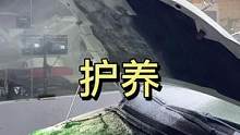 你清洗过发动机舱吗？给线束做过护理了吗？#精致洗车护理 #汽车知识 #专业汽车美容