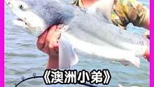 澳洲小弟，淡水中的鲨鱼 #澳洲小弟 #野生动物 #科普一下
