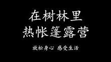 独自去树林露营，用篝火煮饭，帐篷里还有火炉取暖#露营 #帐篷露营 #篝火 #治愈 