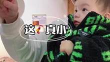 小动物而已，我都认识#人类幼崽到底有多可爱 #爸爸带娃 