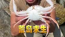 今天去泼水坑抓鱼，意外收获一只超级大花蟹！#户外 #荒岛求生 #荒岛生存