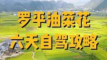 罗平油菜花六天自驾攻略，快收藏！#带你看世界 #自驾游 #旅游攻略 