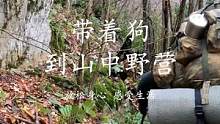 带着狗狗去山林露营，自己搭建庇护所，围着火堆烤肉串#户外野营 #解压 #治愈 