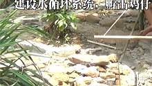 越南小哥被老婆赶出家门，荒野自己徒手建造房屋凉亭 #原始技术 #野外生存 #野外 
