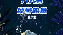 很多观赏鱼我们知道名字但不知道绰号，你知道你家鱼缸的爱鱼的绰号嘛？#观赏鱼 #外号 #水族 #玻璃缸