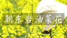 恩施朝东岩的油菜花开啦！ #恩施自驾游攻略 #湖北星旅播 #乡村守护人