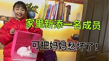 家里新添一名新成员，女儿高兴坏了，妈妈愁的不知道怎么养！