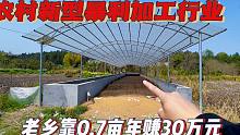 赣州农村出现一新型暴利加工行业，开荒0.7亩荒地，年收入赚30万