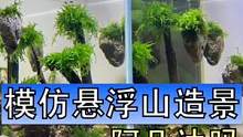 用悬浮石给鱼缸做一个阿凡达的造景吧，让小鱼在幻境中穿梭#玻璃缸中的大自然 #悬浮山#阿凡达造景