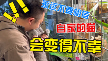 ［花园鳗日常］永远不要相信自家的猫，会变得不幸