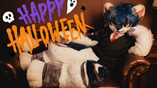 【Fursuit Dance】Happy Halloween❤不给糖就捣蛋！万圣节快乐/苍澜/兽装舞