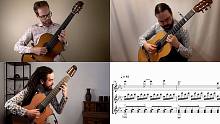 《龙猫》Path of the Wind Cover | Ottawa Guitar Trio