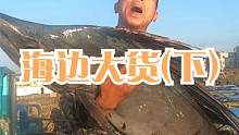 一条2米5长重80斤的大货，来叔艰难抱起引围观，出海好货连连（下）