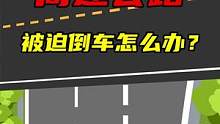 遇见高速倒车，正确的做法是……#驾校一点通 #文明出行 