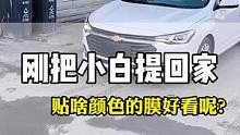 小白提回家，咱们参谋一下贴啥颜色膜好看。#每天一个用车知识 #汽车 #专业汽车贴膜 #汽车好物 #高