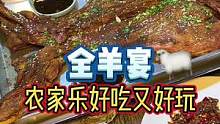 和朋友们约了波农家乐吃全羊宴#农家乐#烤全羊#美食推荐官