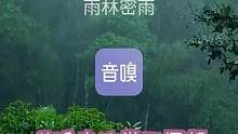 白噪音|雨声|哄睡|冥想|专注学习|app
在连绵密集的细雨中，让你收敛自己的内心，更加专注的工作和
