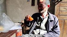 请农村大爷品鉴茂谷柑，大爷会如何评价呢？