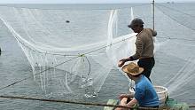 闲牛跟老渔民学习传统捕鱼方式，一网拉上来全是鱼，看着好激动