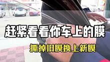 车上旧膜有味道，抓紧时间换掉！