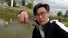 春分放鱼苗最佳时，花30元买了10条鱼苗，打开袋子一看，又上当了