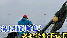海上捕鱼有啥稀奇品种？出海十几年老船长不认识，这种鱼见过吗？
