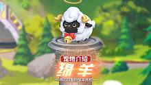 【宠物介绍】绵羊亮相