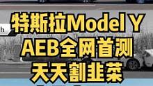 特斯拉Model Y的AEB全网首测，这天天割韭菜，是竞品太弱还是车就这样