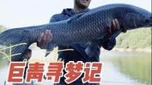 2000元四个小时的青鱼场，豪仔表示手有点抖，从学钓鱼开始就没钓过这么贵的鱼，好在老板没有骗我们！#